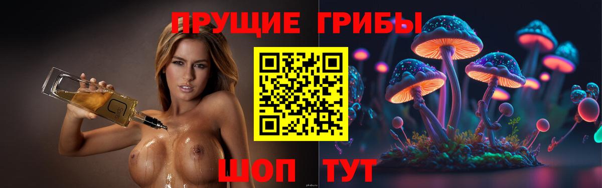 Псилоцибиновые грибы прущие грибы  Вход с VPN  даркнет сайт  Морозовск  Псилоцибиновые грибы Psilocybine cubensis 